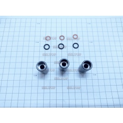 Комплект поршней (3 шт.) мойки высокого давления BOSCH (Бош) GHP 5-13 C, bosch