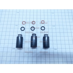 Комплект поршней (3 шт.) мойки высокого давления BOSCH (Бош) GHP 5-13 C, bosch