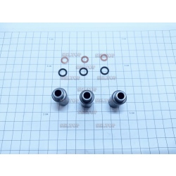 Комплект поршней (3 шт.) мойки высокого давления BOSCH (Бош) GHP 5-13 C, bosch