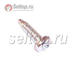 Винт для болгарки Bosch BWS 10-125 C 0601702761, bosch