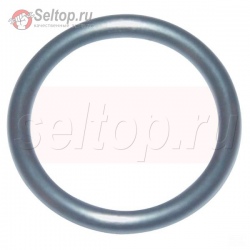 Уплотн. кольцо (Впускной коллектор) , briggs-and-stratton
