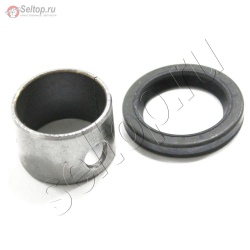 Kit-Bushing/Seal (Magneto Side), briggs-and-stratton