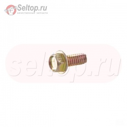 Screw (Regulator), briggs-and-stratton