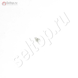 Screw (Interlock Switch), briggs-and-stratton