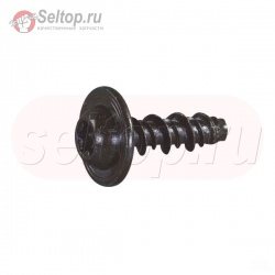 Screw (Spark Arrestor), briggs-and-stratton
