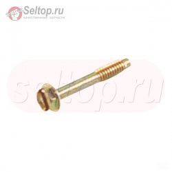 Screw (Air Cleaner Cover), briggs-and-stratton