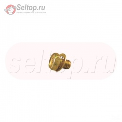 Screw (Rewind Starter), briggs-and-stratton