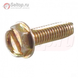 Screw (Casing Clamp), briggs-and-stratton