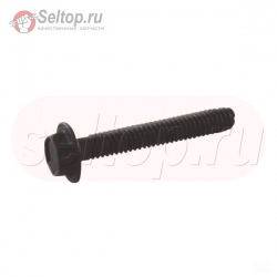 Винт (Крышка рычажного механизма) (Длина 1 3/32) , briggs-and-stratton