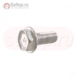 Screw (Muffler Guard), briggs-and-stratton