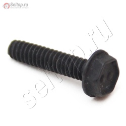 Screw (Alternator), briggs-and-stratton