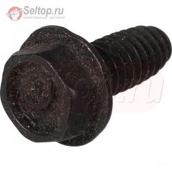 Screw (Starter Gear Cover), briggs-and-stratton