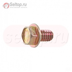 Винт (Корпус нагнетателя) , briggs-and-stratton