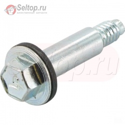 Kit-Screw/Washer, briggs-and-stratton