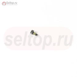 Screw (Control Bracket), briggs-and-stratton