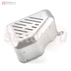 Защита-глушитель , briggs-and-stratton