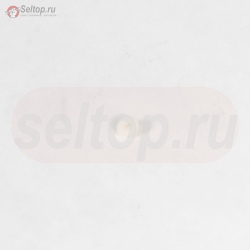 Seal-Choke/Throttle Shaft, briggs-and-stratton