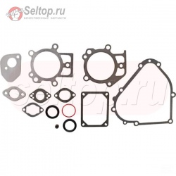 Gasket Set--Engine, briggs-and-stratton