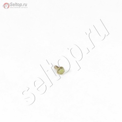 Screw (Muffler Guard), briggs-and-stratton