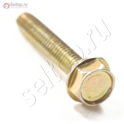 Screw (Alternator), briggs-and-stratton