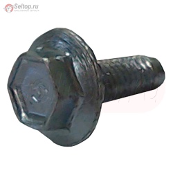 Screw (Muffler Guard), briggs-and-stratton