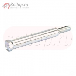 Винт (Шумоглушитель) (Общая длина 1/4-20 x 2,75 дюйма,, briggs-and-stratton