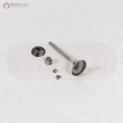 Valve-Intake, briggs-and-stratton