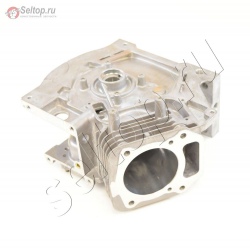 Cylinder Assembly, briggs-and-stratton