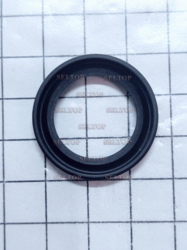 Seal-Oil (Magneto Side), briggs-and-stratton