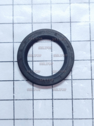 Seal-Oil (Magneto Side), briggs-and-stratton