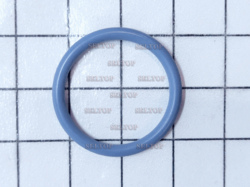 Seal-O Ring (Dipstick Tube), briggs-and-stratton