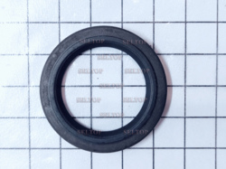 Seal-Oil (Magneto Side), briggs-and-stratton