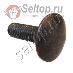 Carriage bolt n022876, dewalt