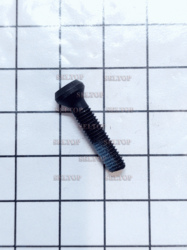 Screw n303381, dewalt