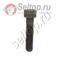 Фиксирующий болт М10Х45, hitachi