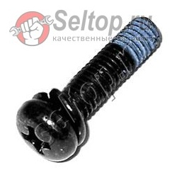Seal Lock Screw (w/sp. Washer)m5x20, hitachi