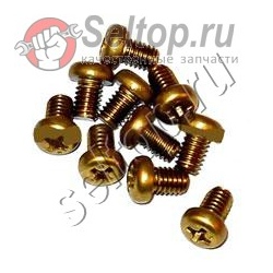 Machine Screw (brass) M4x6 (10 Pcs.), hitachi