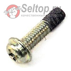 Seal Lock Screw (w/flange) M4x16 - SINCE 1.1987 (TILL 10.1996 FOR C, hitachi