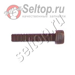 Фиксирующий шуруп M4X12, hitachi