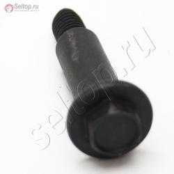 Болт  738-0929, mtd