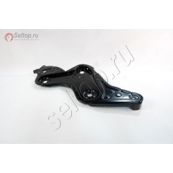 Chain Case Assy. Lh, mtd