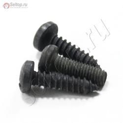 Engine Cover Screws, mtd
