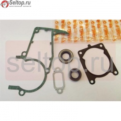 Набор уплотнений  (B) Stihl, stihl