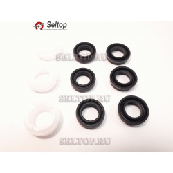 Набор уплотнений поршня в.д. RE-108-128, stihl