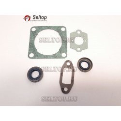 Набор уплотнений BT-121, stihl