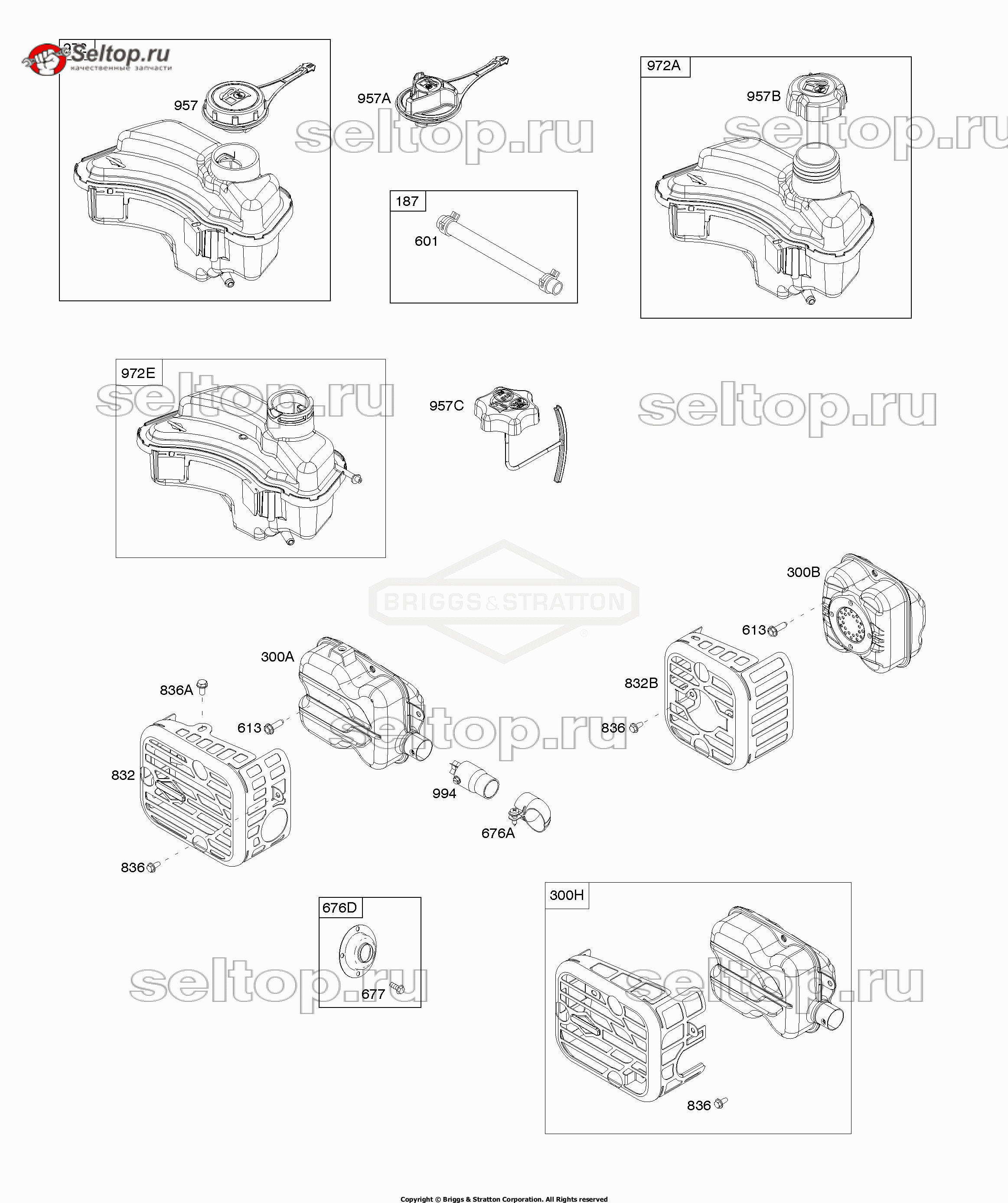 Выхлопная система, система подачи топлива Briggs Stratton 09P602-0043-H1