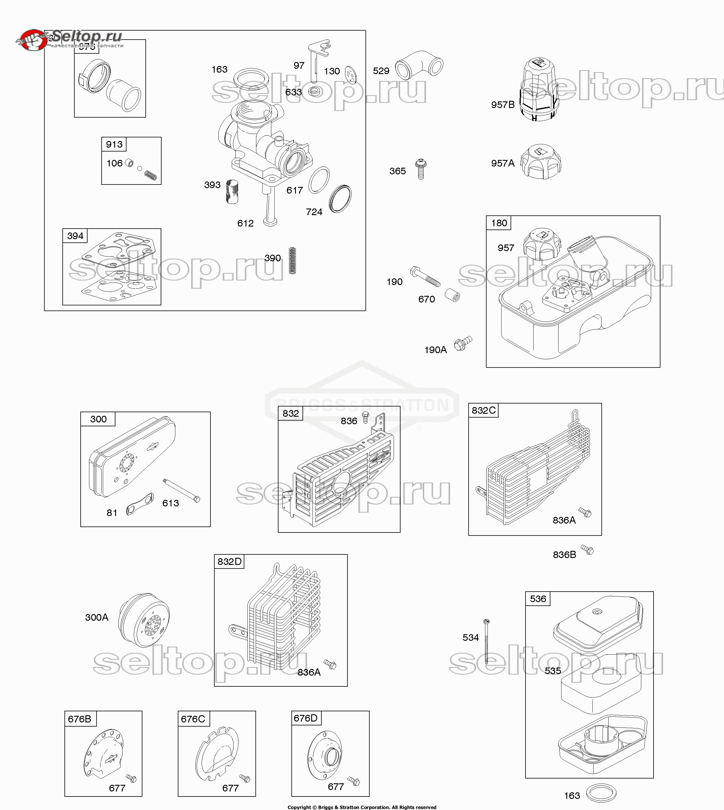 Воздушный фильтр, карбюратор, выхлопная система, система подачи топлива Briggs Stratton 09T502-2240-B1