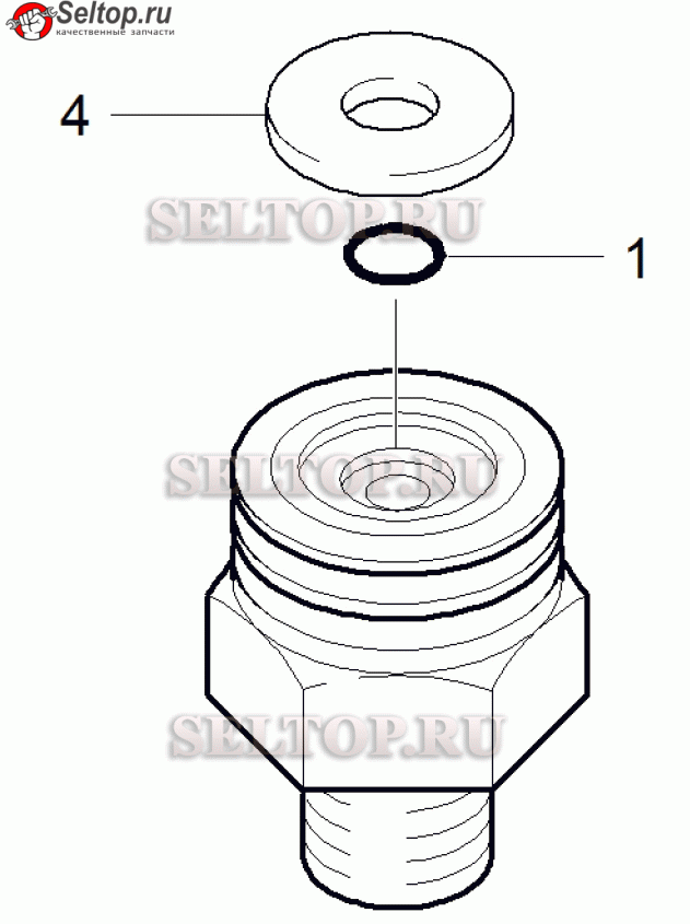 Резьбовая пробка (4.411-008.0)