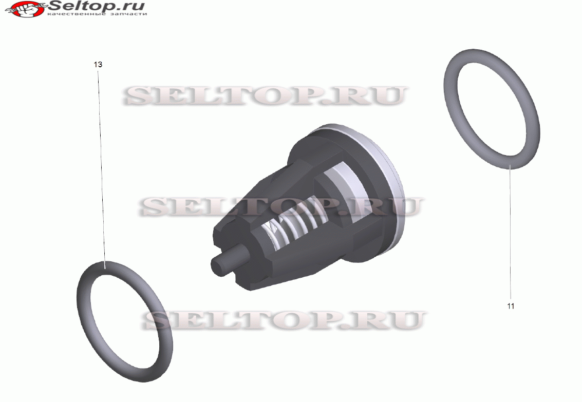 Клапан в сборе (6.413-531.0)