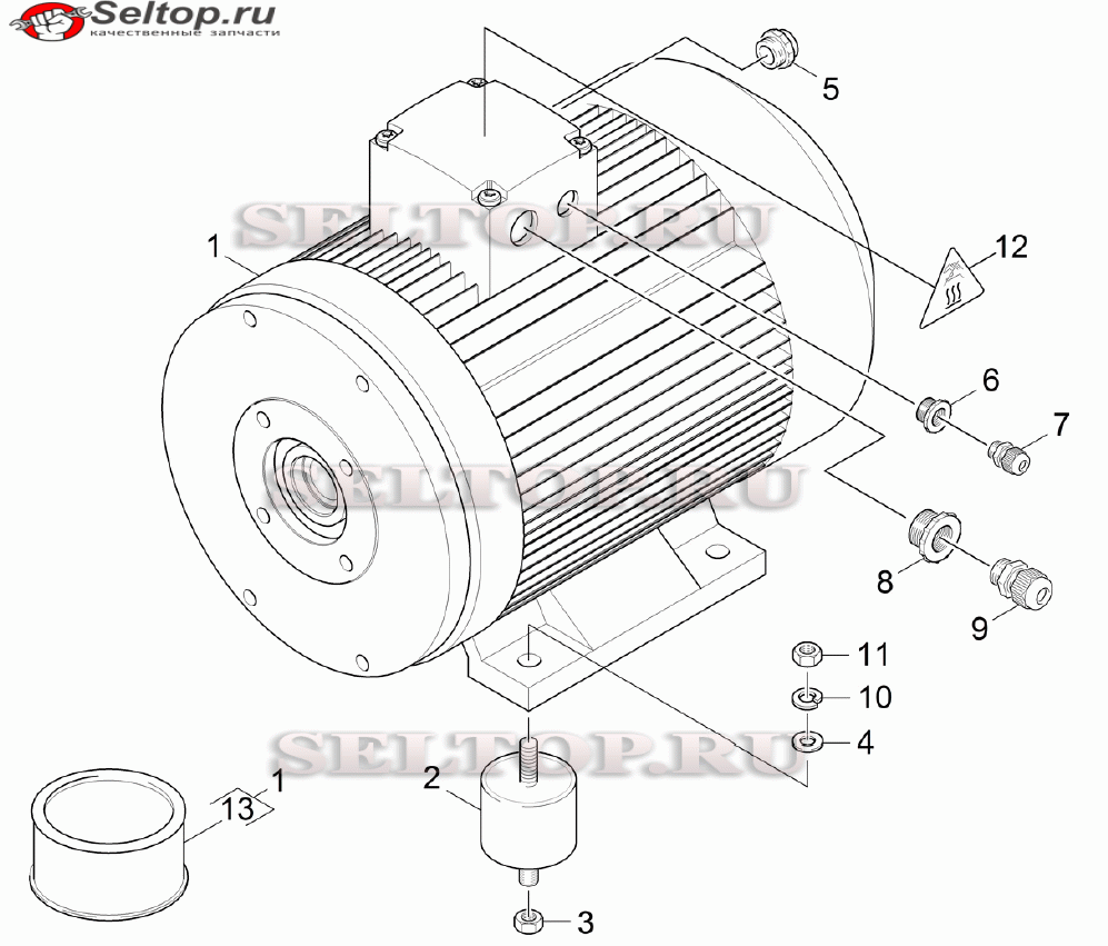 Мотор для мойки Керхер HD 25/15-4 Cage Plus (1.353-907.0)